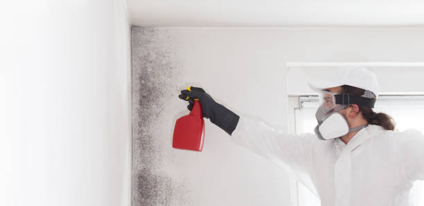 Best Mold Testing  in Nebo, NC
