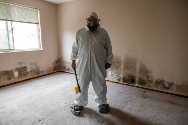 Best Commercial Mold Removal  in Nebo, NC